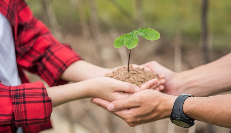 impatto sociale e ambientale